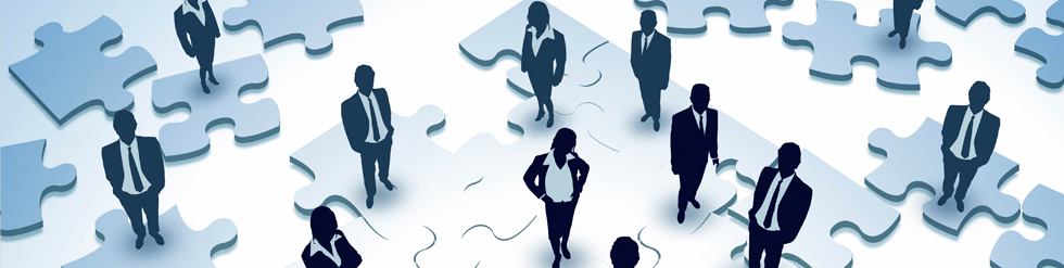 �� Ba�vuru Formu